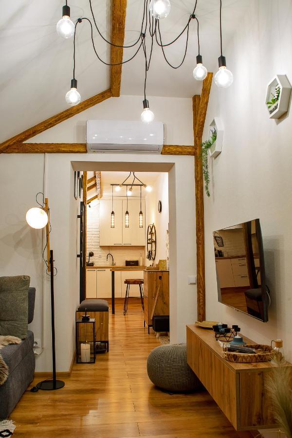 Old Town Loft Apartments Kamenets-Podolsk Eksteriør bilde
